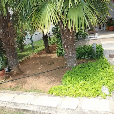 Araz Apartment