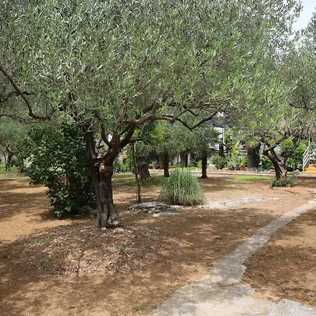 Araz Vodice