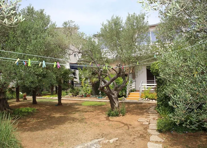 Araz ヴォディツェ